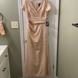 Adrianna Papell Blush Floor Length Formal Dress